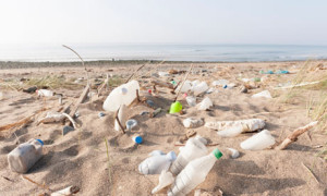 Sea plastic pollution : Plastic bottles and other rubbish washed up on a beach