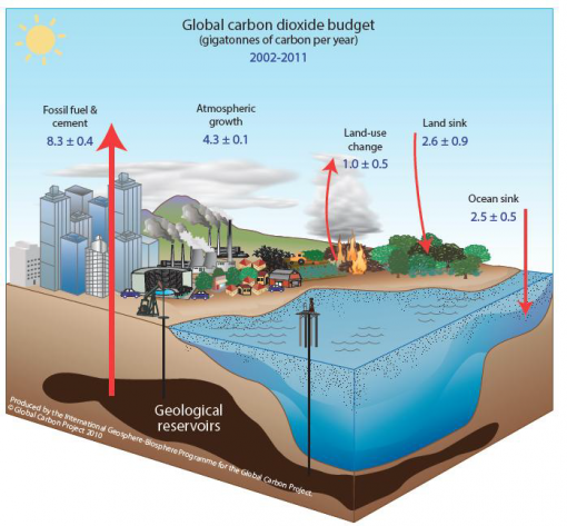 The Global Carbon Budget | MatterofTrust.org