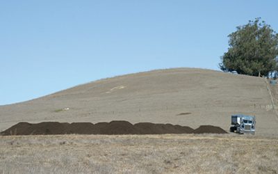 Compost Cows And Carbon Markets