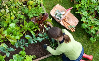 THESE GUYS ARE TAKING COSTCO’S GARBAGE AND USING IT TO HELP GROW YOUR GARDEN