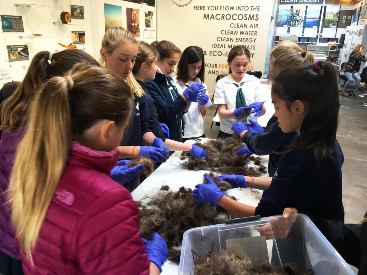 Do you want to make hair mats?