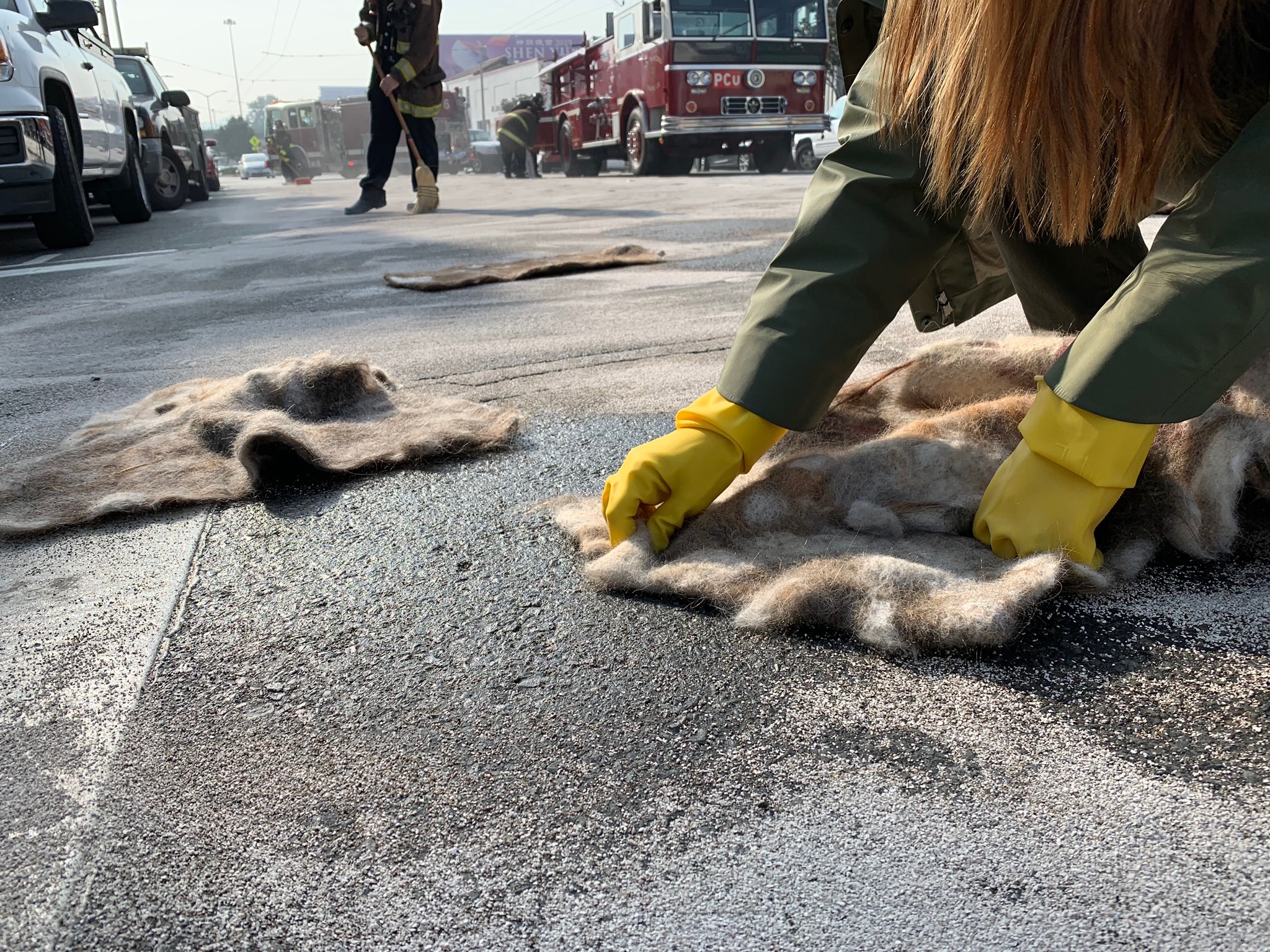 Hair Donation For Oil Spills at Mark Oakley blog