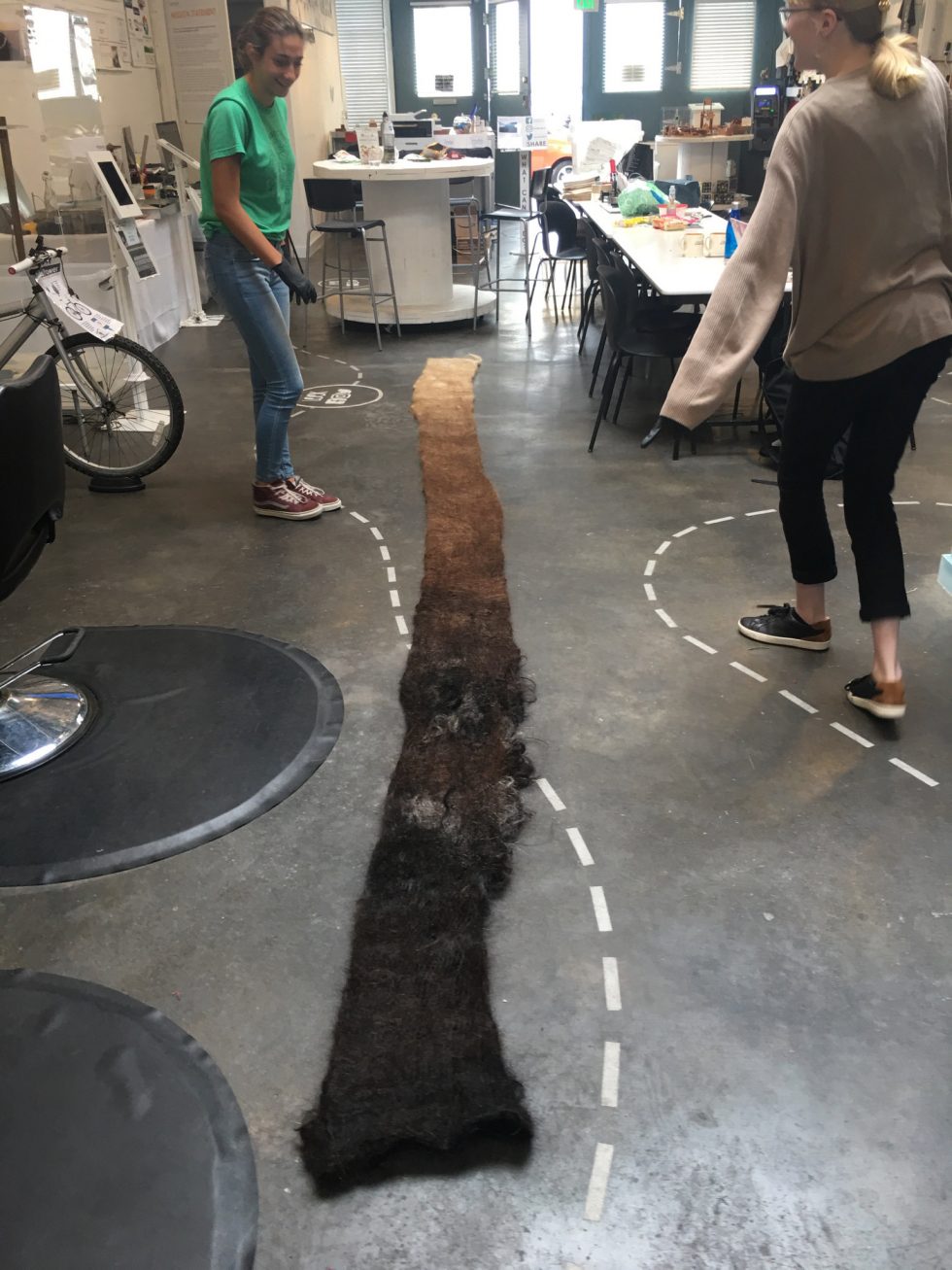 All Programs Hair and Mat Matter Of Trust