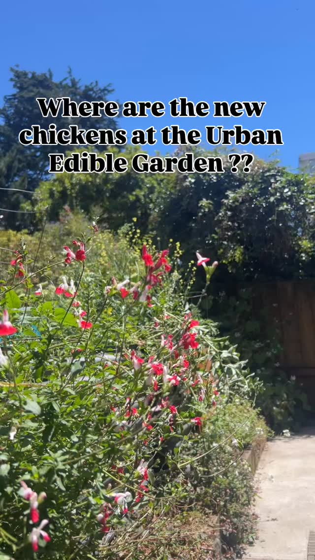 Matter of Trust