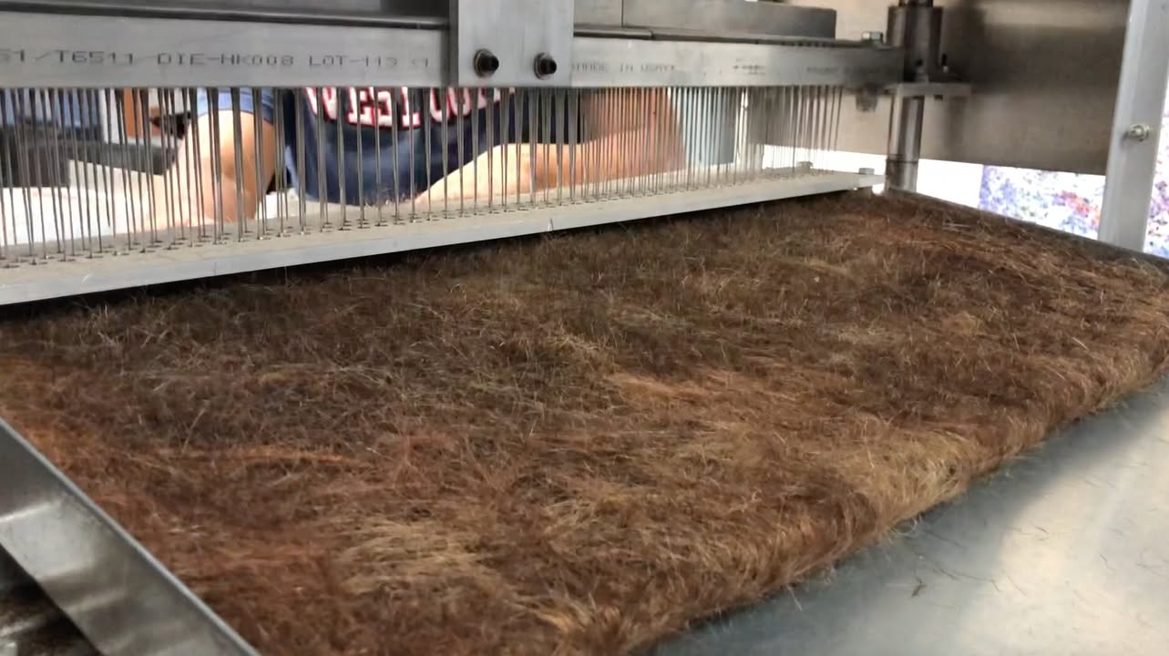 Matter of Trust