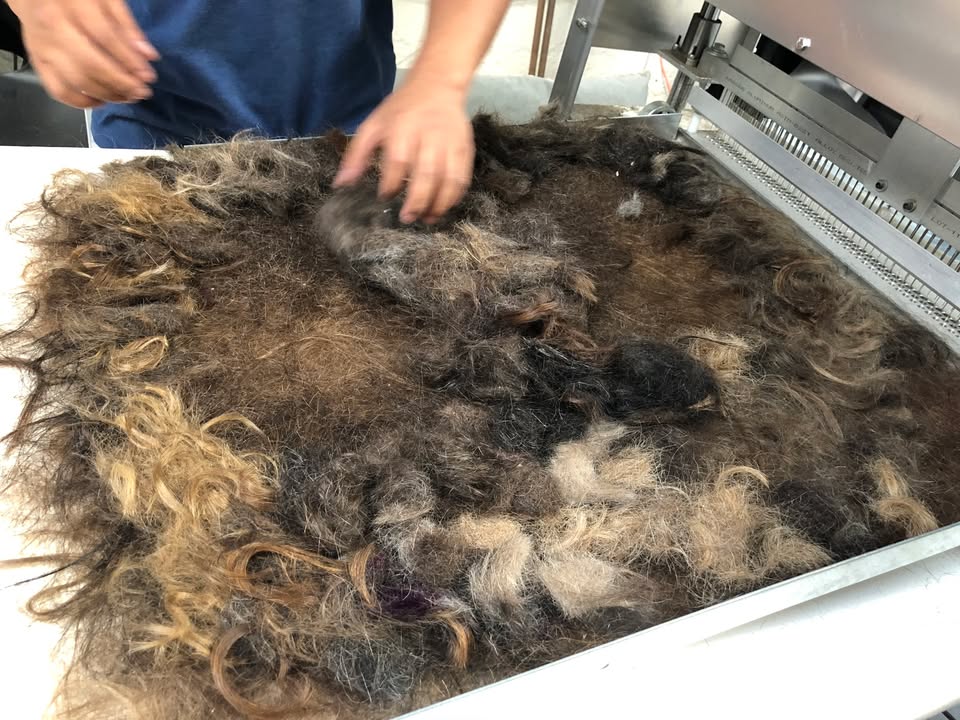 Matter of Trust